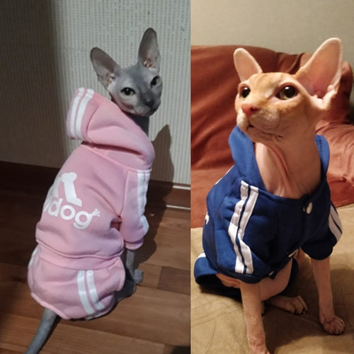 For Cats Sphinx Katten Clothing Outfit Ropa Para gatos Kedi Giyim Pets Products Cute Cat Sweater Hoodie Winter Warm Pet Clothes