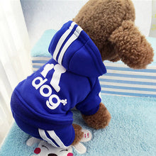 Load image into Gallery viewer, For Cats Sphinx Katten Clothing Outfit Ropa Para gatos Kedi Giyim Pets Products Cute Cat Sweater Hoodie Winter Warm Pet Clothes