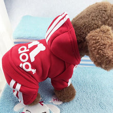 Load image into Gallery viewer, For Cats Sphinx Katten Clothing Outfit Ropa Para gatos Kedi Giyim Pets Products Cute Cat Sweater Hoodie Winter Warm Pet Clothes
