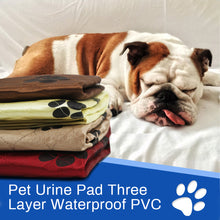Load image into Gallery viewer, 2019 Pet Dog Urine Pad Waterproof Multi-color Pet Pee Pad Absorption Cats Urine Pad Reusable Washable Pee Mattress Cushion