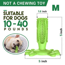 Load image into Gallery viewer, Pet Dog Toothbrush Chew Toy Doggy Brush Stick Soft Rubber Teeth Cleaning Dot Massage Toothpaste for Small dogs Pets Toothbrushes