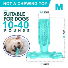 Load image into Gallery viewer, Pet Dog Toothbrush Chew Toy Doggy Brush Stick Soft Rubber Teeth Cleaning Dot Massage Toothpaste for Small dogs Pets Toothbrushes