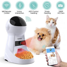 Load image into Gallery viewer, Iseebiz 3L Automatic Pet Feeder With Voice Record Pets food Bowl For Medium Small Dog Cat LCD Screen Dispensers 4 times One Day